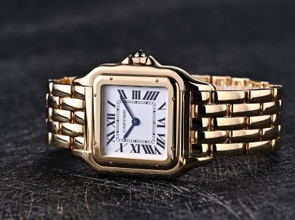 Cartier Sandro WGSA0043 watch