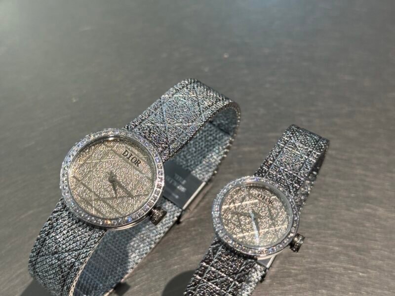 DIOR CD04111X1248/CD04115X1251 series wristwatch